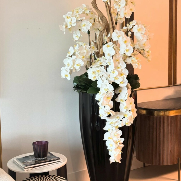brillante negro san josé jarrón con cascada blanco orquídeas