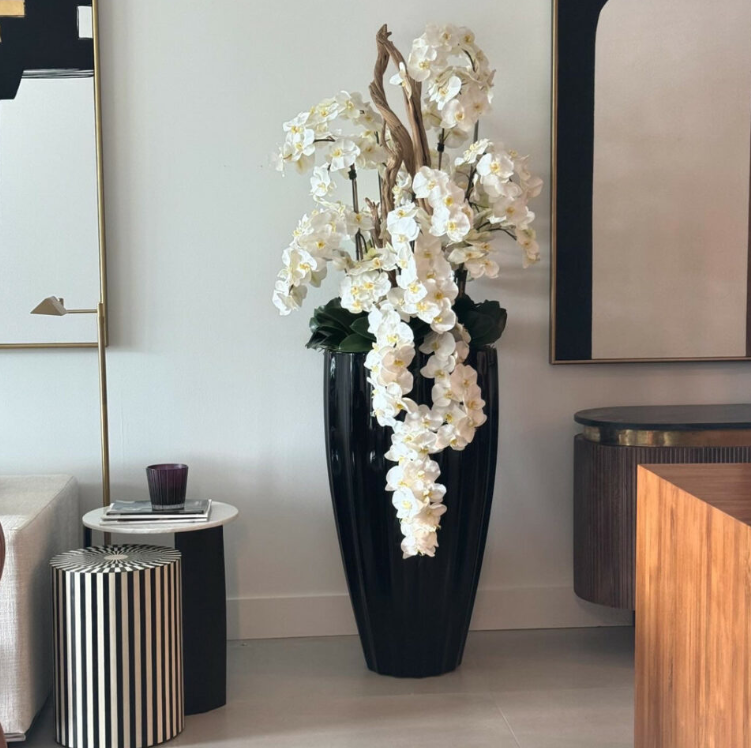 brillante negro san josé jarrón con cascada blanco orquídeas