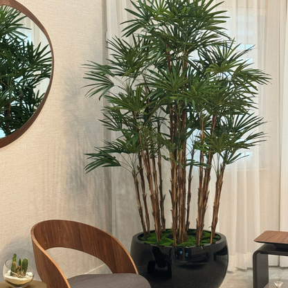 negro Terragona jarrón con dama palmera