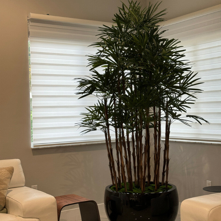 negro Terragona jarrón con dama palmera