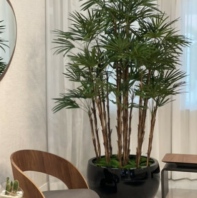 negro Terragona jarrón con dama palmera