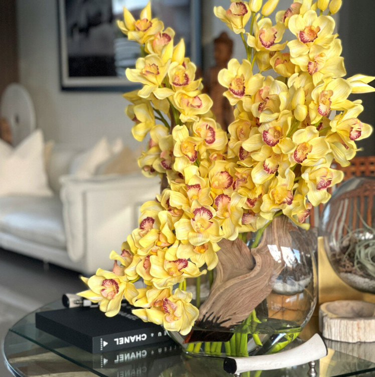 amarillo cymbidium orquídeas en un lunar jardinera