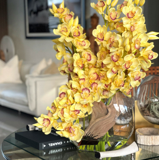 amarillo cymbidium orquídeas en un lunar jardinera