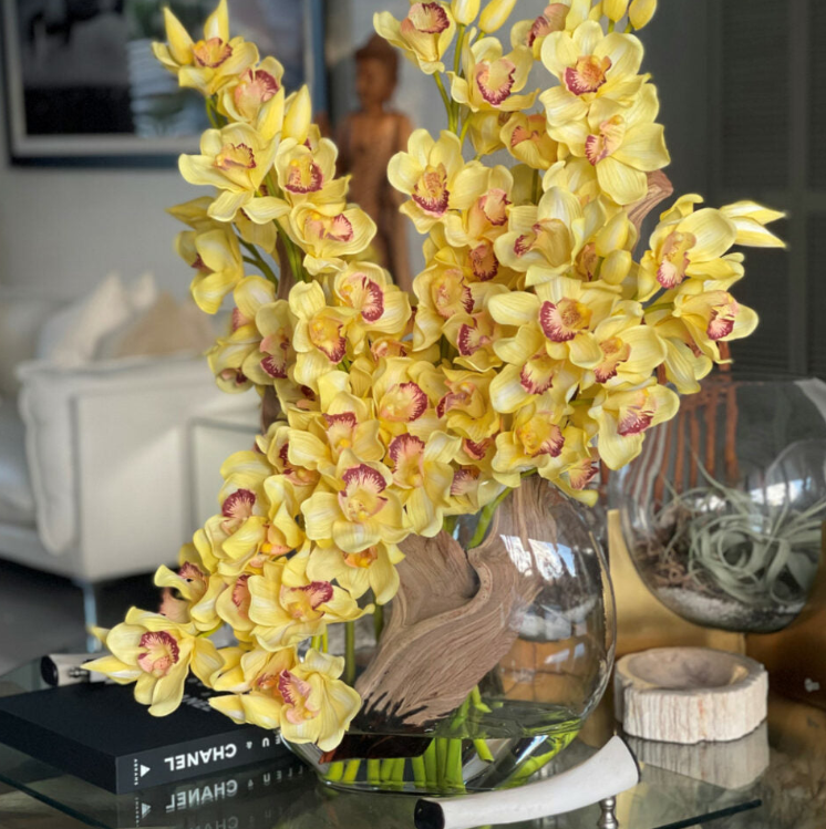 amarillo cymbidium orquídeas en un lunar jardinera