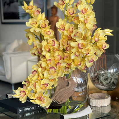 amarillo cymbidium orquídeas en un lunar jardinera