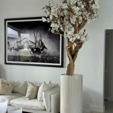 10ft blanco magnolia árbol en brillante beige st. tropez jardinera