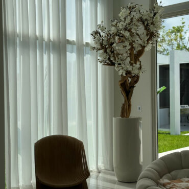 10ft blanco magnolia árbol en brillante beige st. tropez jardinera