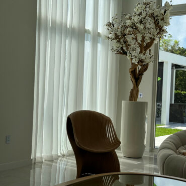 10ft blanco magnolia árbol en brillante beige st. tropez jardinera