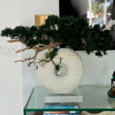 mediano eternidad jarrón con colgante bonsái árbol y madera-a-la-deriva