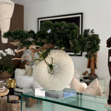 mediano eternidad jarrón con colgante bonsái árbol y madera-a-la-deriva