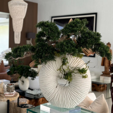 grande eternidad jarrón con colgante bonsái árbol y madera-a-la-deriva