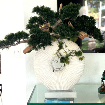 grande eternidad jarrón con colgante bonsái árbol y madera-a-la-deriva