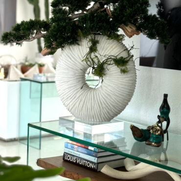 grande eternidad jarrón con colgante bonsái árbol y madera-a-la-deriva