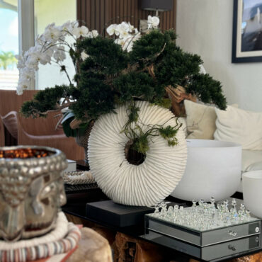 grande eternidad jarrón con colgante bonsái árbol y madera-a-la-deriva