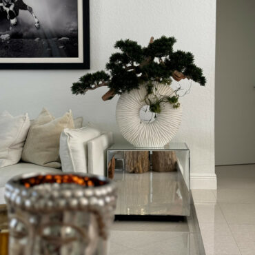 grande eternidad jarrón con colgante bonsái árbol y madera-a-la-deriva