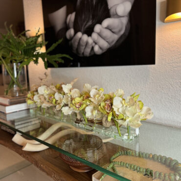 Casa Moderna con blanco vandas y verde cymbidiums