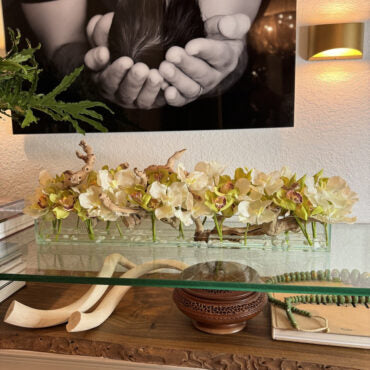 Casa Moderna con blanco vandas y verde cymbidiums