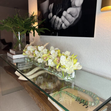 Casa Moderna con blanco vandas y verde cymbidiums