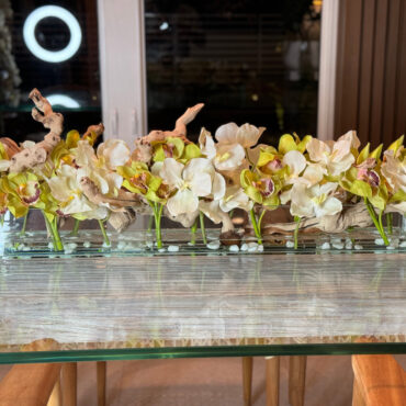 Casa Moderna con blanco vandas y verde cymbidiums