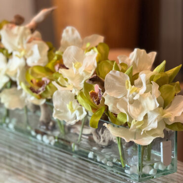 Casa Moderna con blanco vandas y verde cymbidiums