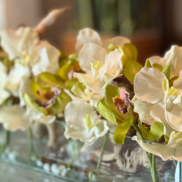 Casa Moderna con blanco vandas y verde cymbidiums