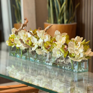 Casa Moderna con blanco vandas y verde cymbidiums