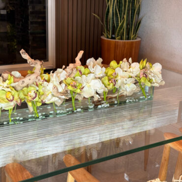 Casa Moderna con blanco vandas y verde cymbidiums