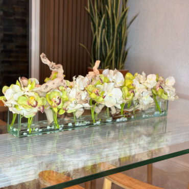 Casa Moderna con blanco vandas y verde cymbidiums