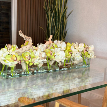 Casa Moderna con blanco vandas y verde cymbidiums