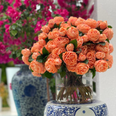 inglés rosas en Clear vidrio cilindro