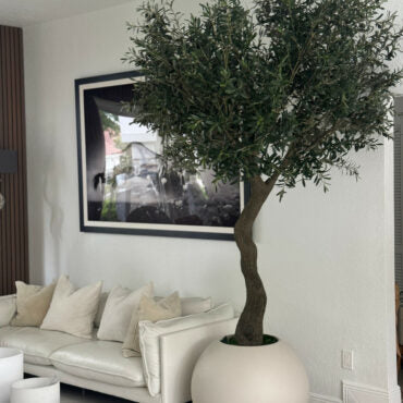 7′ olivo árbol en mate beige 30″ esférico jardinera