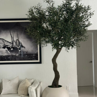 7′ olivo árbol en mate beige 30″ esférico jardinera