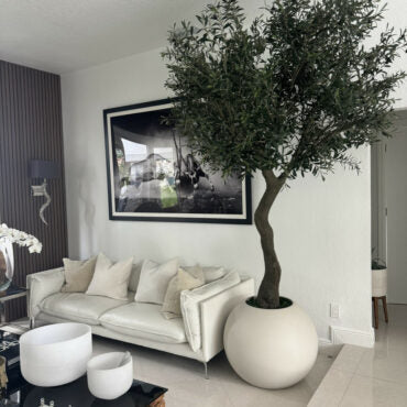 7′ olivo árbol en mate beige 30″ esférico jardinera