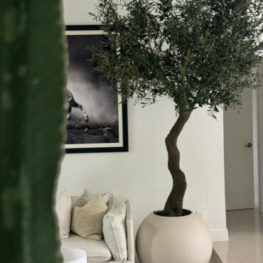 7′ olivo árbol en mate beige 30″ esférico jardinera