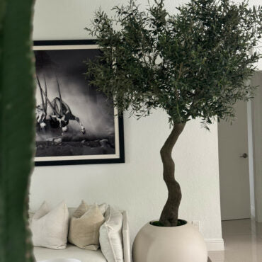7′ olivo árbol en mate beige 30″ esférico jardinera