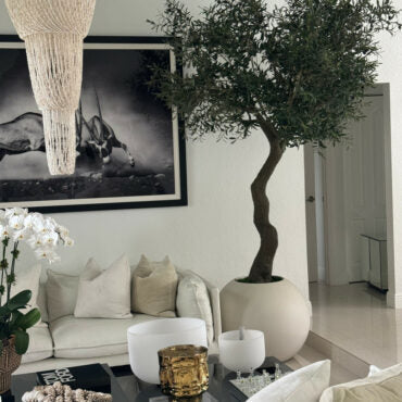 7′ olivo árbol en mate beige 30″ esférico jardinera