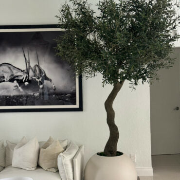 7′ olivo árbol en mate beige 30″ esférico jardinera