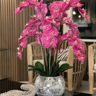 orquídeas en craquelado espejo jarrón