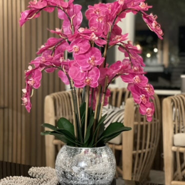 orquídeas en craquelado espejo jarrón