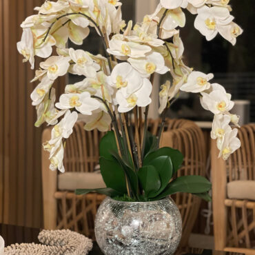 orquídeas en craquelado espejo jarrón