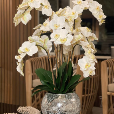 orquídeas en craquelado espejo jarrón