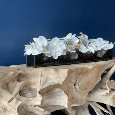 36″ Casa Moderna negro teñido vidrio plato jardinera con blanco phalaenopsis orquídeas