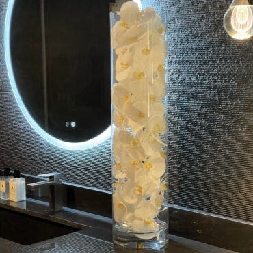 vidrio cilindro con blanco phalaenopsis orquídeas