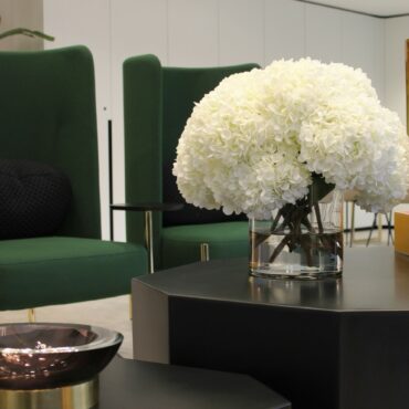 blanco hortensia ramo en clear vidrio cilindro jarrón