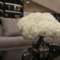 blanco hortensia ramo en clear vidrio cilindro jarrón