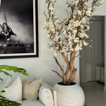 blanco magnolia árbol en 30″ brillante blanco esférico jardinera