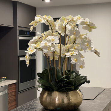 blanco phalaenopsis orquídeas en dorado metal Bowie cuenco