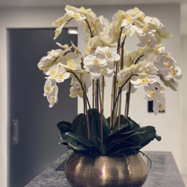 blanco phalaenopsis orquídeas en dorado metal Bowie cuenco