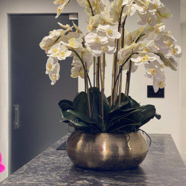 blanco phalaenopsis orquídeas en dorado metal Bowie cuenco