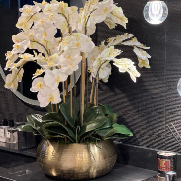 blanco phalaenopsis orquídeas en dorado metal Bowie cuenco